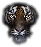 Jackson Center, Ohio secondary logo